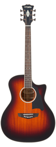 Excel Gramercy Mahogany Burst Proto