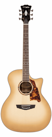 Excel Gramercy Sepia Burst Proto