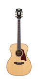 Premier Tammany - OM Acoustic - Manufacturer's Sample - Natural