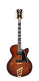 Excel 59 - Hollowbody  - Sample